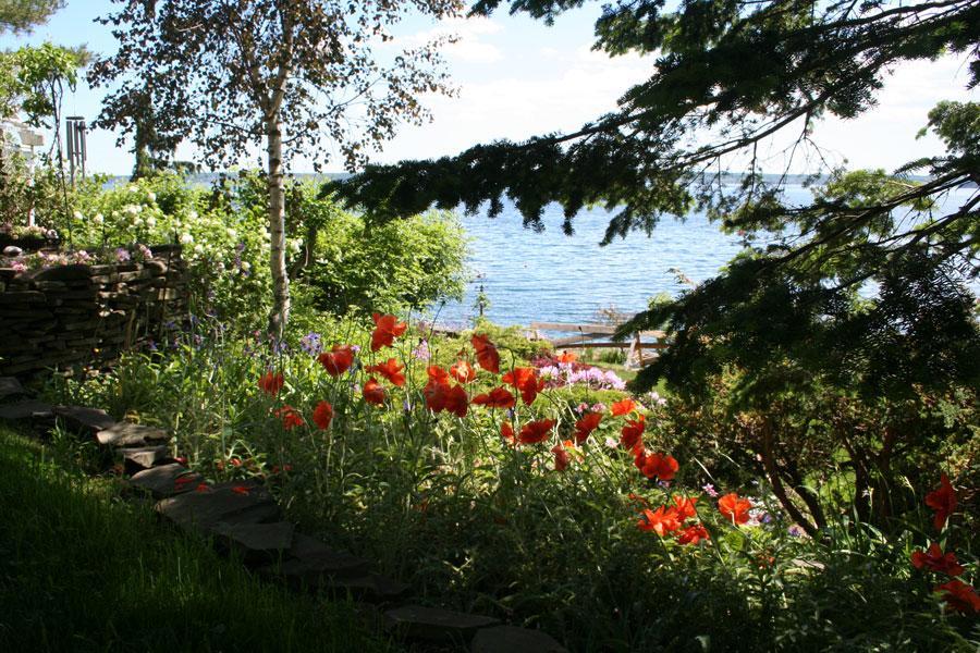 A Boat To Sea Bed & Breakfast North Sydney Exterior photo